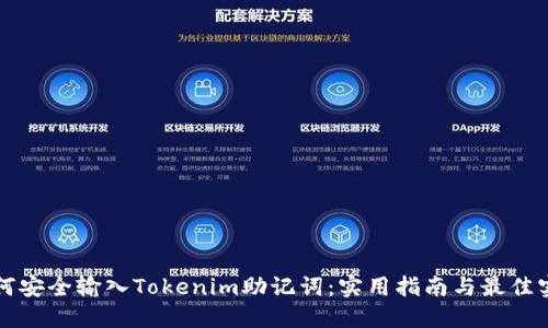 如何安全输入Tokenim助记词：实用指南与最佳实践