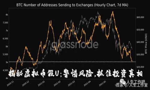 揭秘虚拟币假U：警惕风险，抓住投资真相