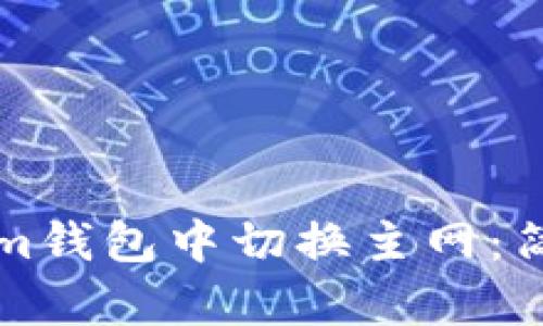 如何在Tokenim钱包中切换主网：简单易懂的指南