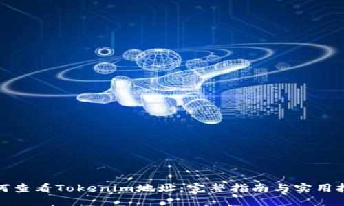 如何查看Tokenim地址：完整指南与实用技巧