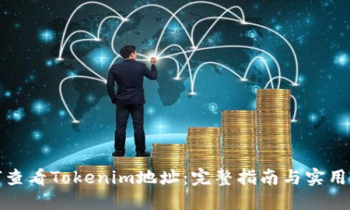 如何查看Tokenim地址：完整指南与实用技巧