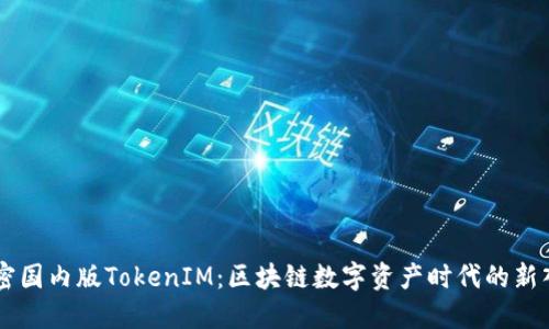 解密国内版TokenIM：区块链数字资产时代的新入口
