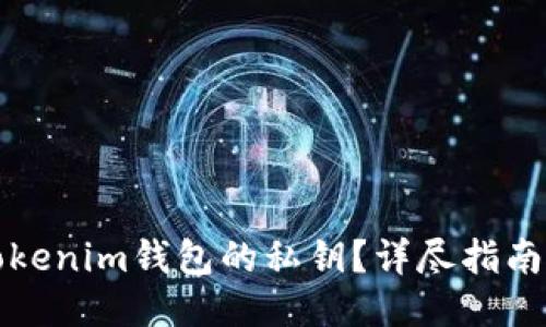 如何查看Tokenim钱包的私钥？详尽指南与安全提示