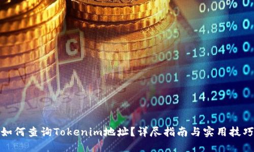 如何查询Tokenim地址？详尽指南与实用技巧