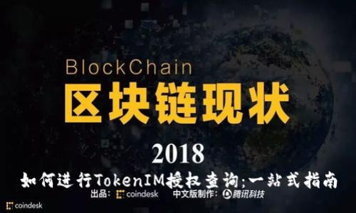 如何进行TokenIM授权查询：一站式指南