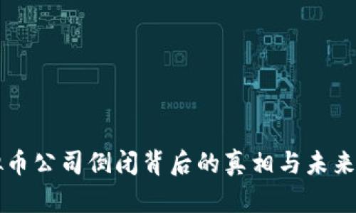 虚拟币公司倒闭背后的真相与未来启示