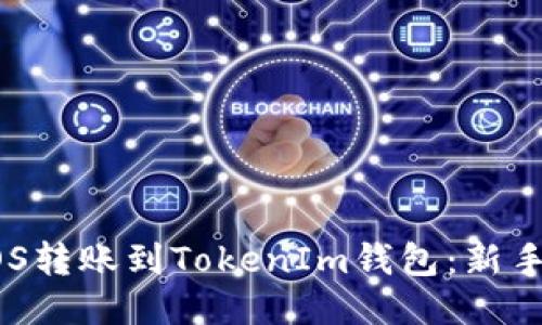 如何将EOS转账到TokenIm钱包：新手必看指南