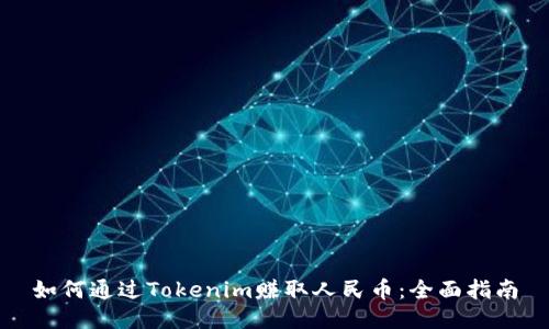 如何通过Tokenim赚取人民币：全面指南