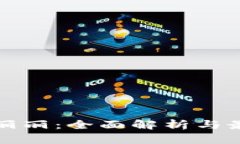 虚拟币丽丽：全面解析与