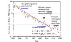井通币：未来数字经济的