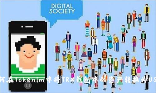 如何在Tokenim中将TRX钱包中的资产转换为USDT