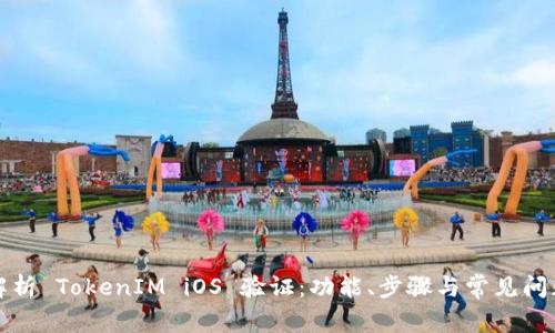 全面解析 TokenIM iOS 验证：功能、步骤与常见问题解答