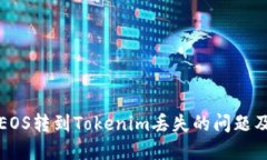 如何处理EOS转到Tokenim丢失