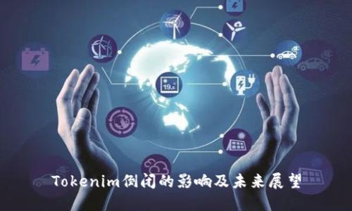 Tokenim倒闭的影响及未来展望