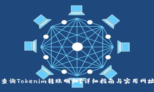如何查询Tokenim转账明细？详细指南与实用网址分享