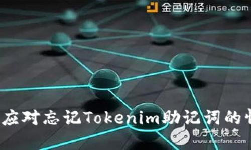 如何应对忘记Tokenim助记词的情况？
