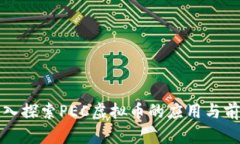 深入探索PEC虚拟币的应用