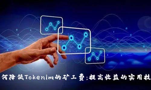 如何降低Tokenim的矿工费：提高收益的实用技巧