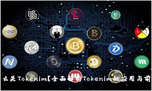 什么是Tokenim？全面解析Tokenim的应用与前景