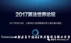 Tokenim映射后鼻子少了？深度解析与解决方案