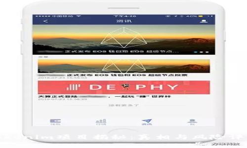 Tokenim项目揭秘：真相与风险评估