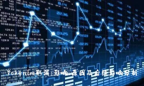 Tokenim取消：影响、原因及后续影响分析